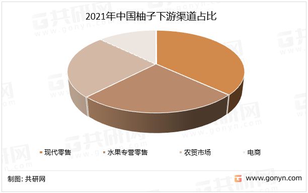 2022年中国柚子产量、销量及市场规模分析：产量呈逐年上升趋势(图2)