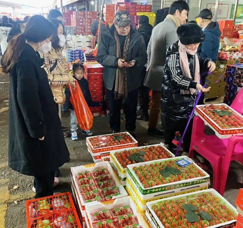 春节临近桂林水果市场部分水果价格“跳水”(图1)