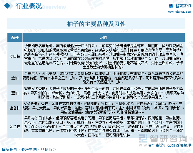 一文读懂2023年中国柚子行业现状及前景：：海外市场发展潜力巨大(图2)