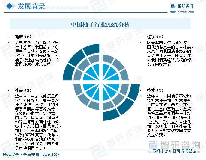 一文读懂2023年中国柚子行业现状及前景：：海外市场发展潜力巨大(图3)