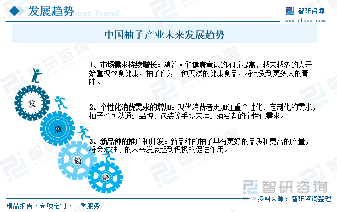 一文读懂2023年中国柚子行业现状及前景：：海外市场发展潜力巨大(图8)