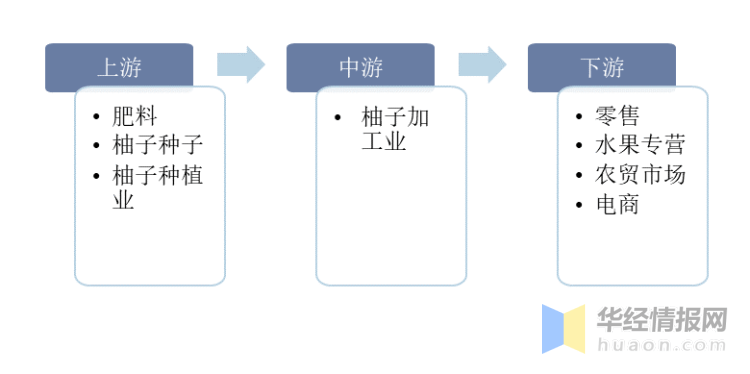 柚子行业发展现状如何？一文读懂柚子市场规模、产销量及进出口情况分析(图4)