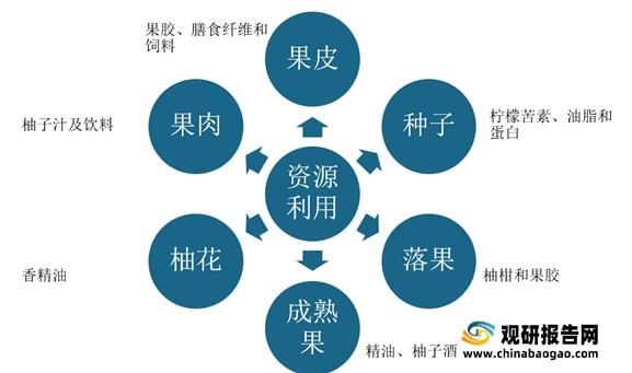 柚子产业现状：主产区种植收益下降深加工产品或成行业破局重因(图7)